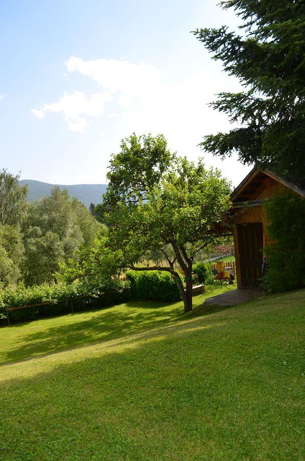 Appartementhaus Novak Mariapfarr Buitenkant foto
